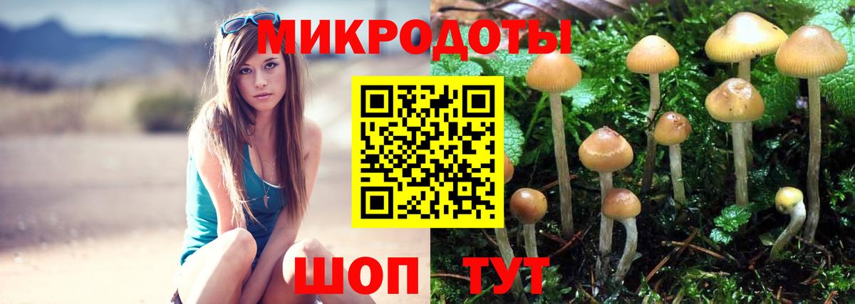 Азов  Галлюциногенные грибы Psilocybe  Вход с VPN 